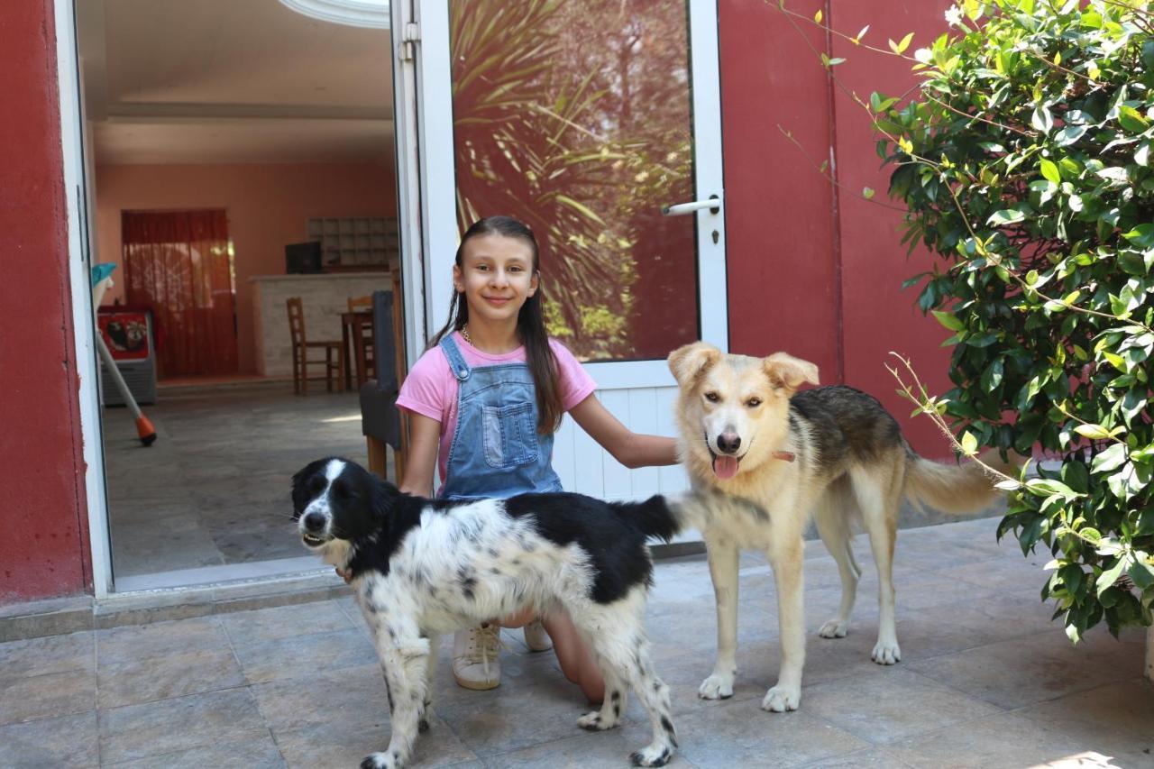 פלקאס Madalenas B&B מראה חיצוני תמונה