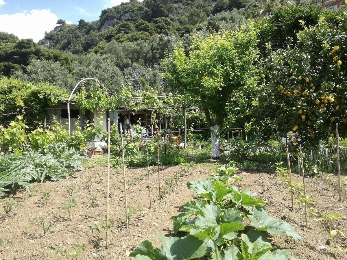 פלקאס Madalenas B&B מראה חיצוני תמונה