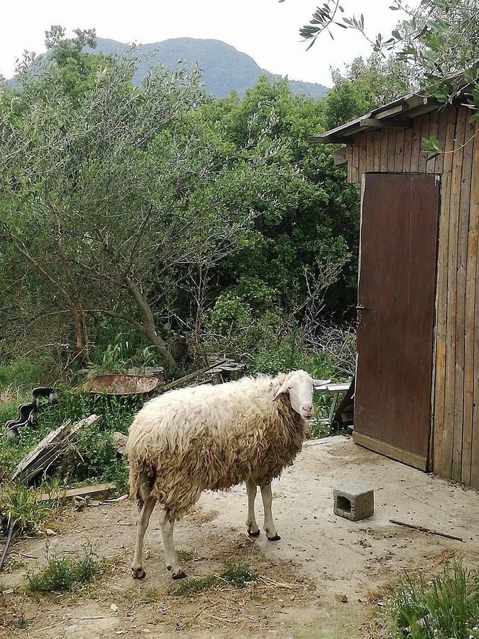 פלקאס Madalenas B&B מראה חיצוני תמונה