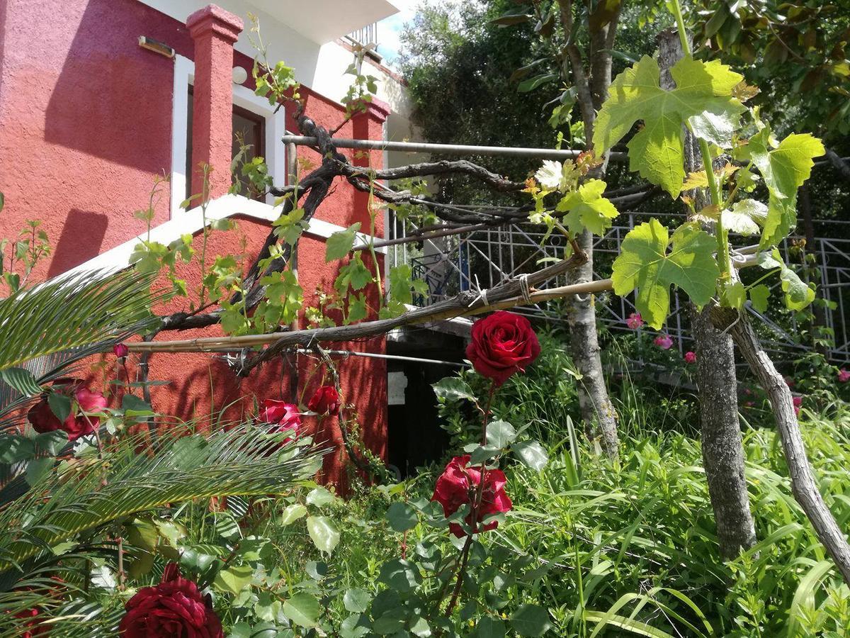 פלקאס Madalenas B&B מראה חיצוני תמונה