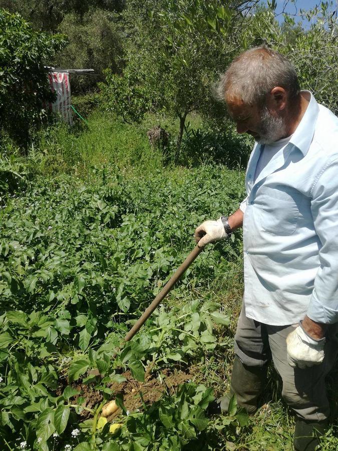 פלקאס Madalenas B&B מראה חיצוני תמונה