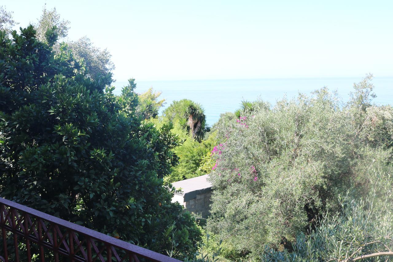 פלקאס Madalenas B&B מראה חיצוני תמונה